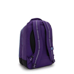 Classroom 17" Laptop Backpack