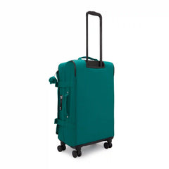 Spontaneous Medium Rolling Luggage