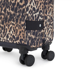 Spontaneous Small Printed Rolling Luggage
