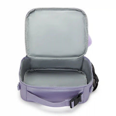 Ermy Metallic Lunch Bag