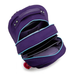 Classroom 17" Laptop Backpack