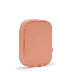 100 Pens Case